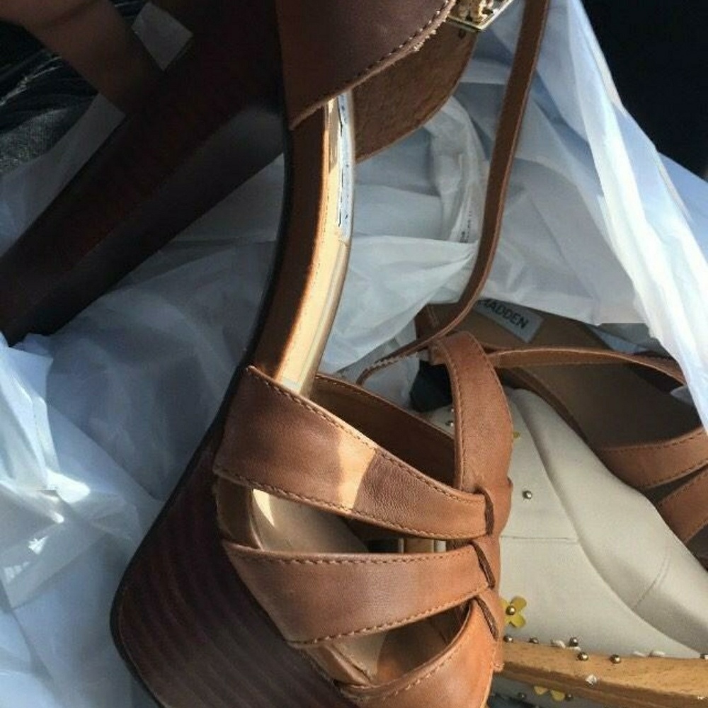 Steve madden